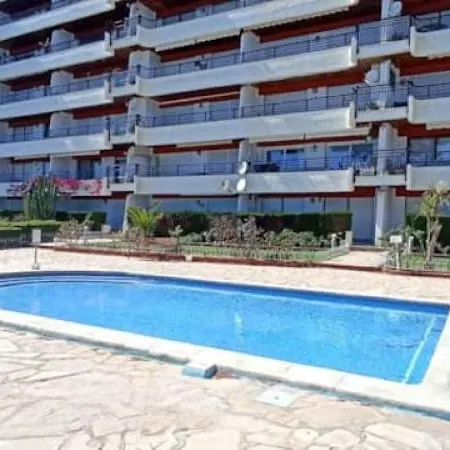 Palmera E *