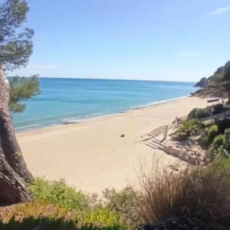 Palmera E Apartamento