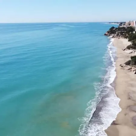 Palmera E Apartamento